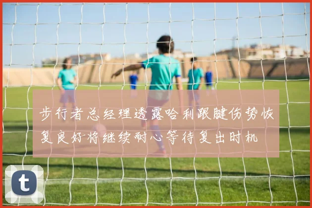 步行者总经理透露哈利跟腱伤势恢复良好将继续耐心等待复出时机