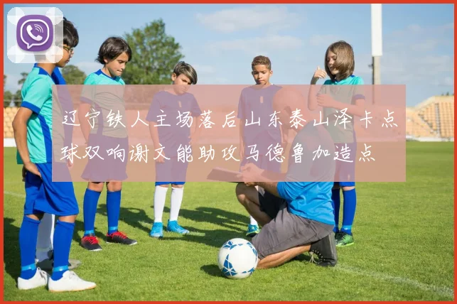 辽宁铁人主场落后山东泰山泽卡点球双响谢文能助攻马德鲁加造点