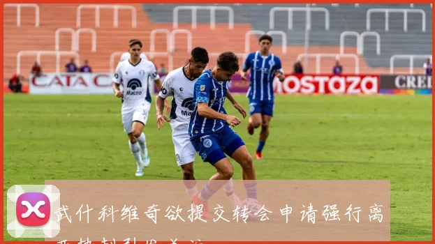 武什科维奇欲提交转会申请强行离开热刺引发关注